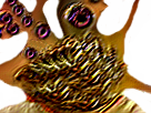 Sticker risitas wtf abomination cauchemar chicots moche bordel par Immondice-Creator