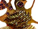 Sticker risitas bordel chicots moche cauchemar abomination wtf par Immondice-Creator