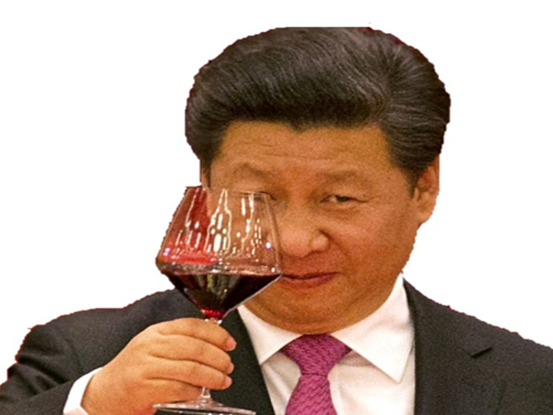 chinois communiste vin jinping politic xi