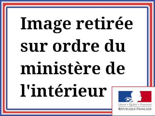 jaune politic attentat marseille juif castaner anthemis attali terroriste tarrant projet gilet dgsi brenton macron