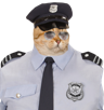other-chat-hd-policier