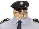 hd-other-chat-police