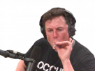 joint-musk-other-weed-elon