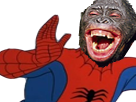 spiderman-monkey-spider-man-risitas-monkeyman-singe