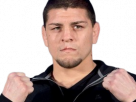 nick ufc diaz