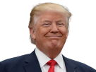 troll-donald-trump-sourire-politic