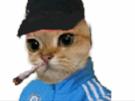 chat-cigarette-other-clope-cite
