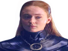 saison-true-other-got-game-thrones-the-8-westeros-queen-lady-stark-of-sansa-winterfell