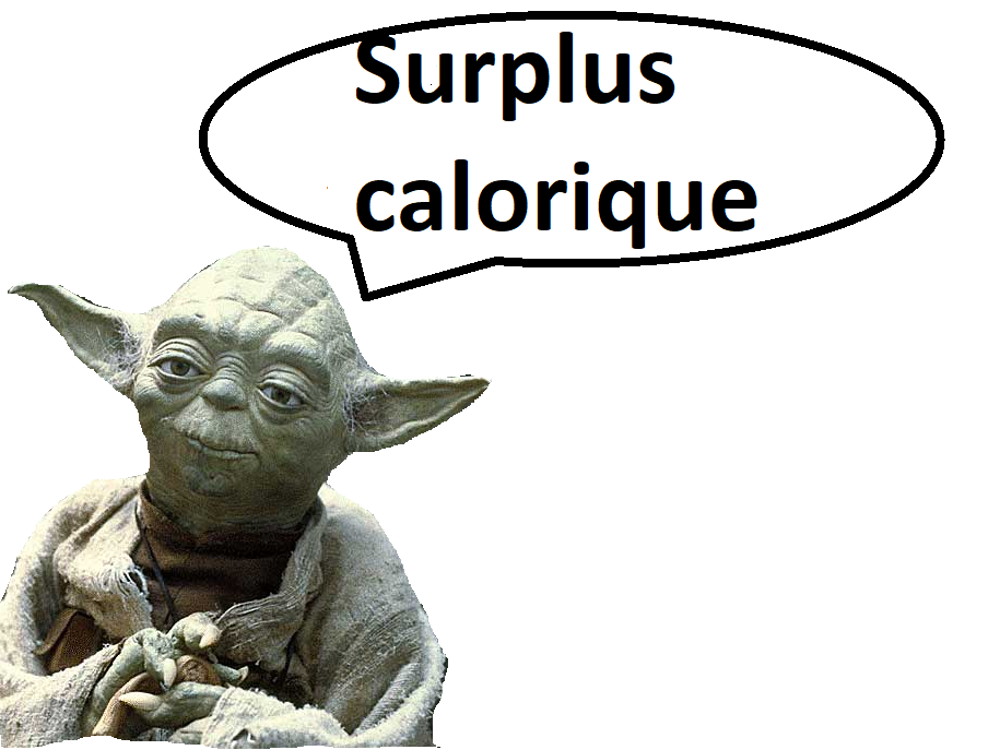 total yoda risitas calorique