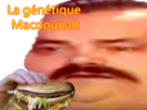 hamburger-risitas-macdounalt-gros-genetique-lard