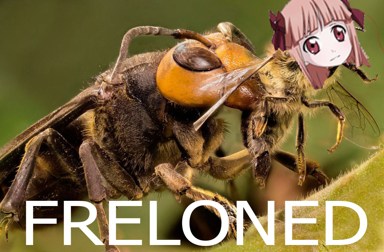 kikoojap freloned frelon