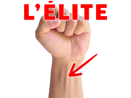 elite muscu risitas long mn palmaire