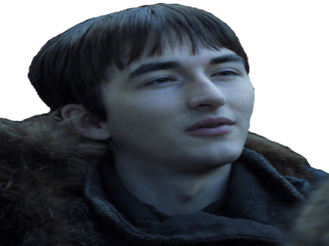 got stark bran other