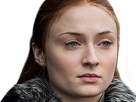 winterfell-lady-got-other-of-game-sansa-thrones-stark-westeros-queen