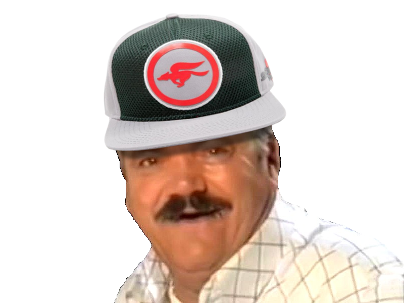 casquette fanboy nintendo pro tinnova risitas fan n starfox
