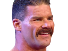 catch-risitas-moustache-robert-other-wwe-roode