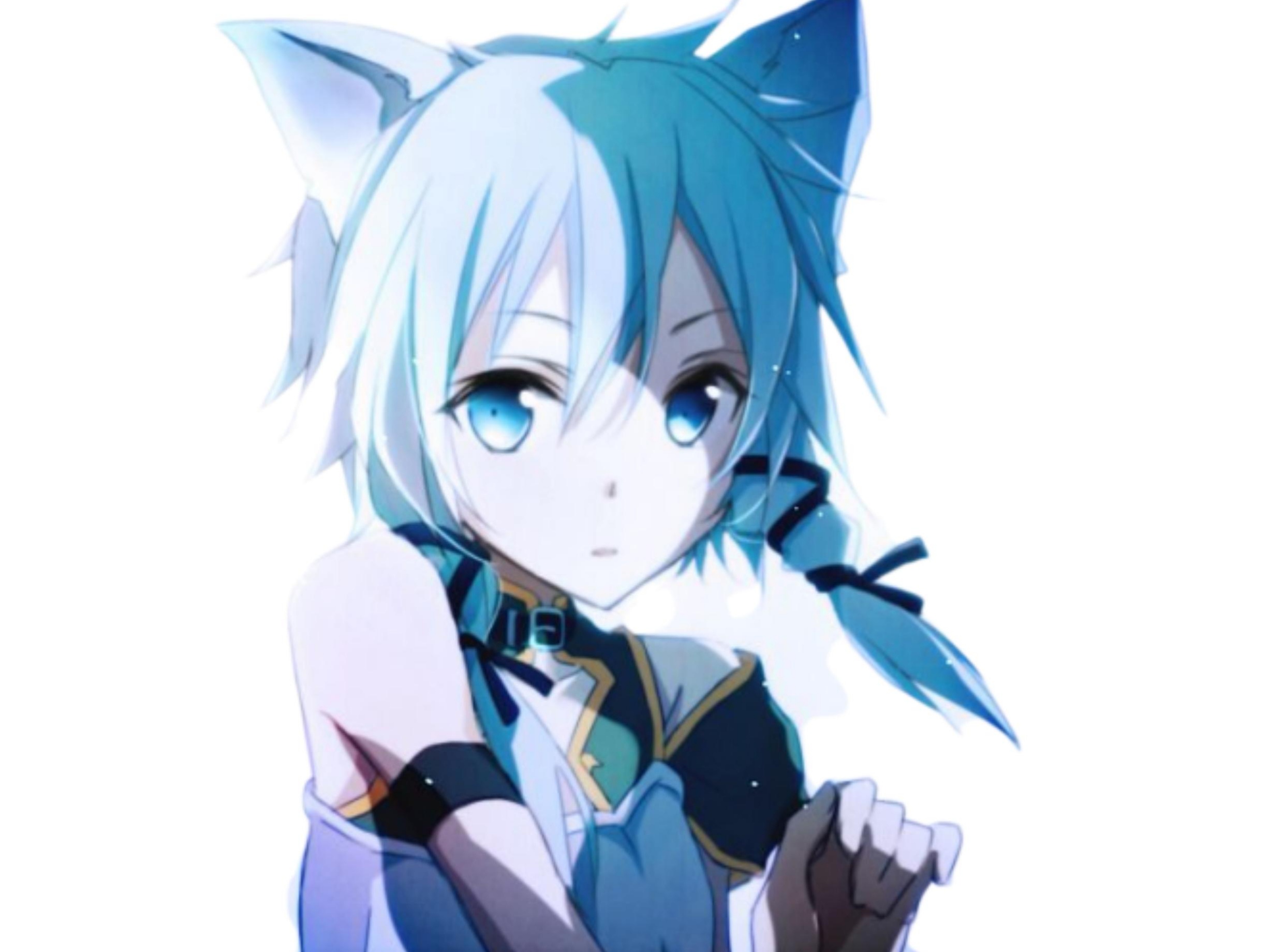 ggo neko kikoojap sinon