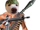 other-dog-quiz-chien-rambo-guerre-melon
