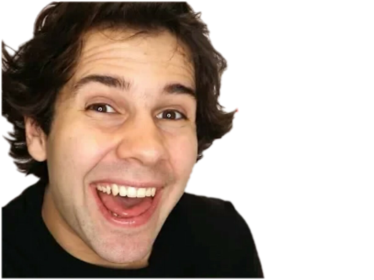 other rire david dobrik