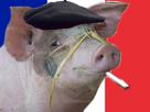 francais-france-porc-pig-beret-cigarette-other-gitane-cochon-clope
