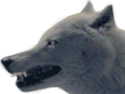 winterfell of direwolf snow game got ghost jon thrones fantome