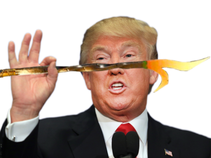 tisautiste usa tison presidant america risitas president trump