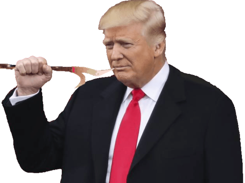 presidant president tison trump usa tisautiste risitas america