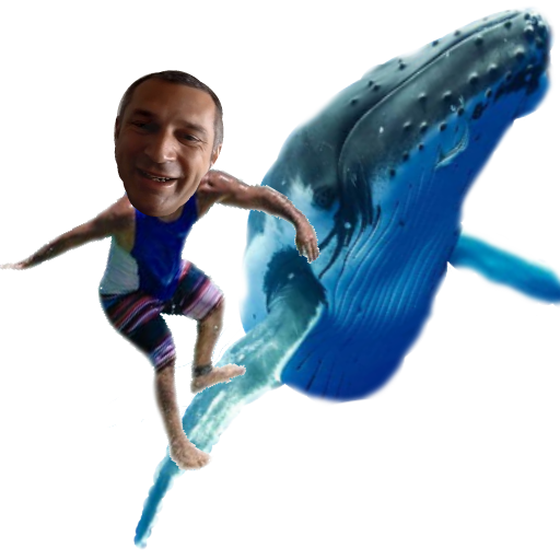 iexec crypto rlc jvc