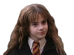 harry potter meuf fille hautaine hermione