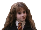 harry-potter-meuf-fille-hautaine-hermione-other