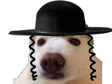 juif dog chienmelon chien melon melondog jvc