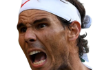nadal-rage-crier-garros-content-other-roland-tennis