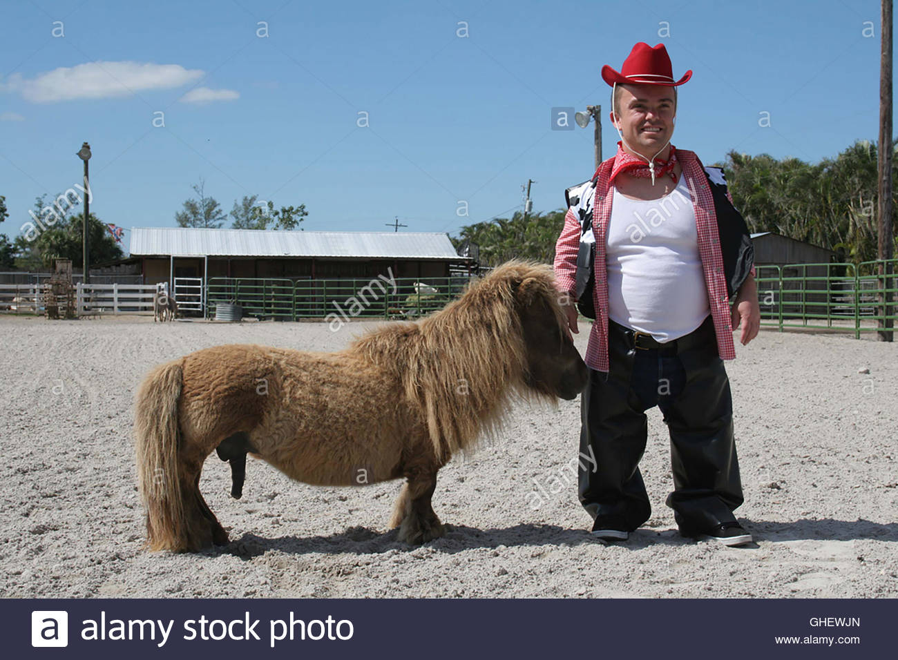 miel cheval risitas tyrion