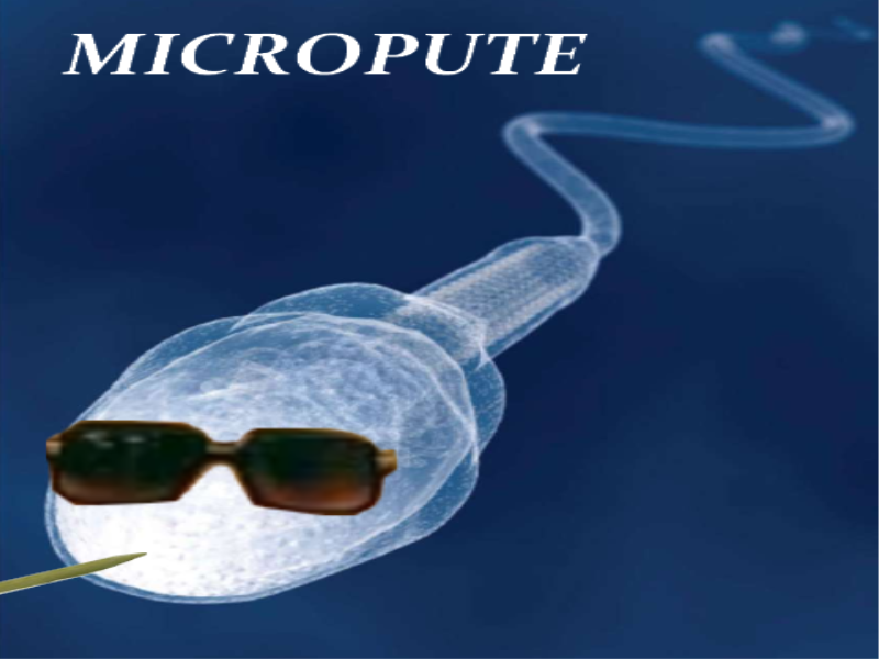pute alkpote spermazotoide micro risitas
