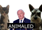 upr-animaled-chat-chien-blacked-politic-animal-asselineau