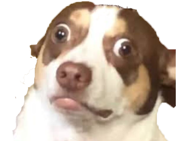 demon dog bubz satan wtf