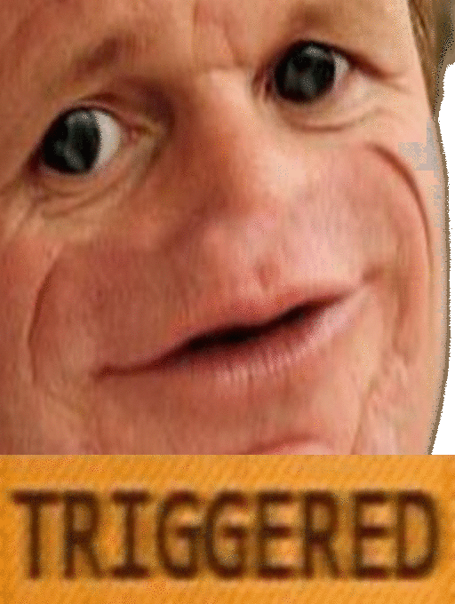 triggered 3tags dotcom risitas