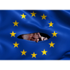 silverstein-europeenne-european-flag-larry-drapeau-peeping-union