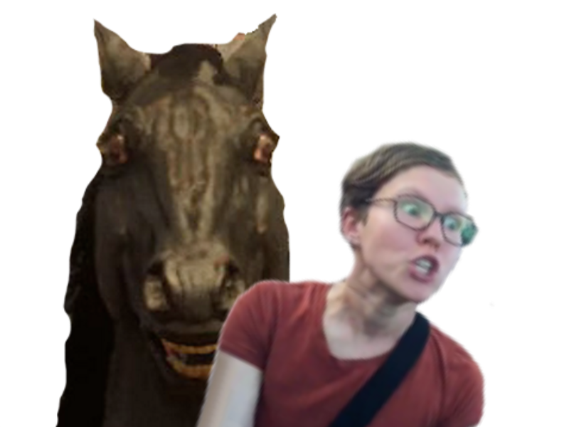 viol cheval sjw kikoojap