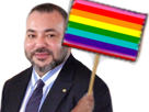 roi-gay-other-mohammed-maroc-mohamed-6
