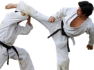 guerrier-baston-kuro-bagarre-karate-obi-martiaux-asiat-art-naka-tatsuya-kimono-taikan-japonais-combat