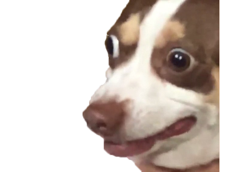 wtf risitas dog satan demon bubz