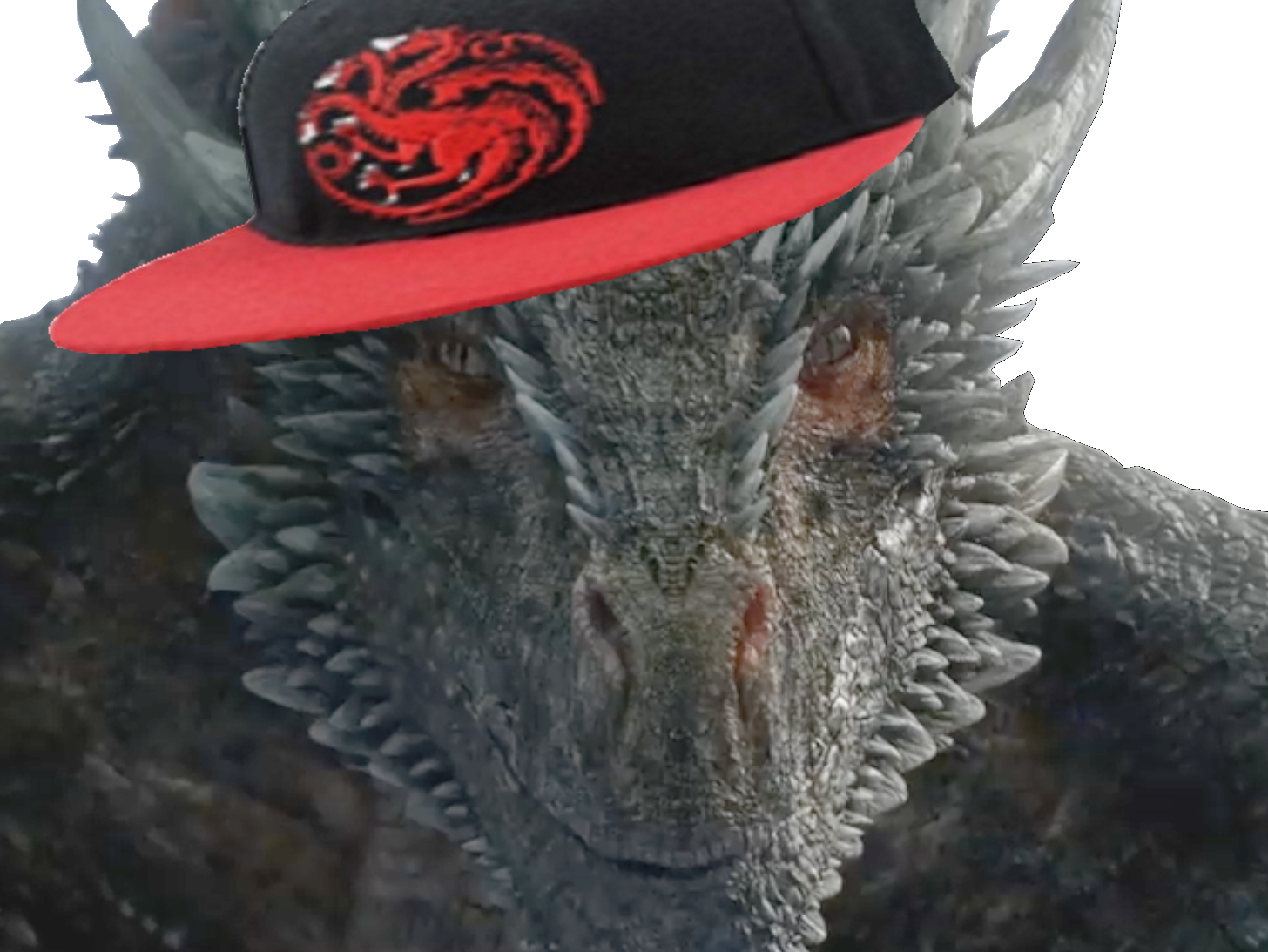 drogon dany alpha targaryen thrones dragon of game team got