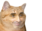 chat-sourire-risitas-zemmour