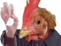 poule ange risitas jvc courgette petit rip