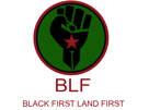 africain-centrisme-afrique-other-black-power