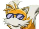 hedgehog-tails-the-fox-other-risitas-renard-sonic
