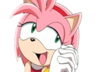 herisson-rose-the-hedgehog-other-sonic-amy-risitas