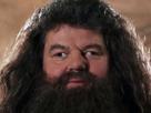 yeux-loucher-strabisme-barbe-potter-hagrid-harry-other-louche