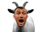 goat other vasyl loma lomachenko boxing boxe